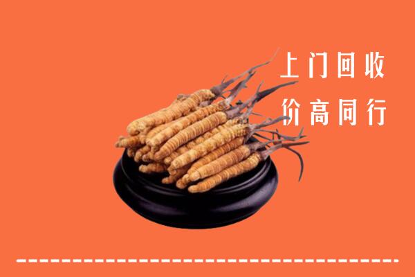 收购行情：昭平县冬虫夏草回收多少钱每克