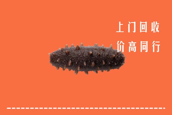 收购行情：昭平县回收海参