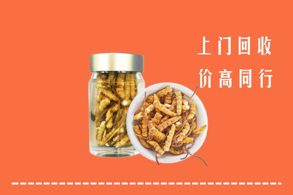 收购行情：昭平县回收冬虫夏草